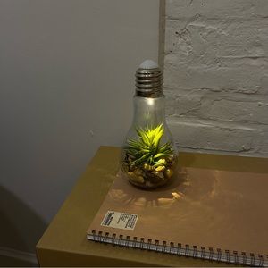 faux plant inside light